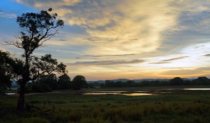 Fototapeta premium Sunset over Bendiwewa Lake in Polonnaruwa, Sri Lanka