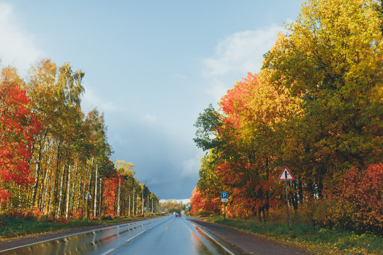 wet highway and autumn trees with colorful foliage