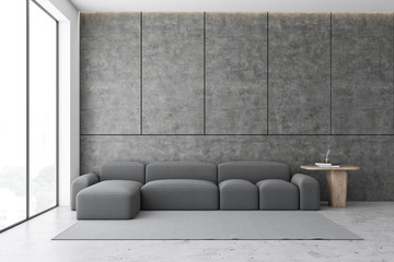 Concrete living room interior with sofa