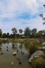 lake in the park