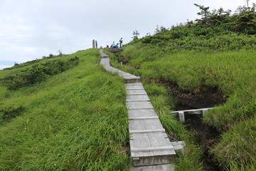 越後　平ヶ岳山頂への道　山頂直下の木道