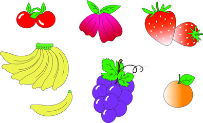 Fruits including grape, cherry, rose apple, strawberry, banana and orange for education.