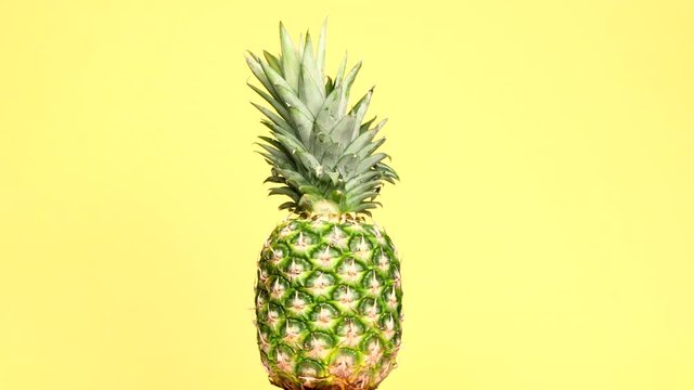 Rotating pineapple in circle
