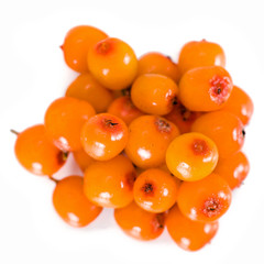 Sea buckthorn (or sandthorn, sallowthorn, seaberry). Fresh ripe berries isolated on a white background.
