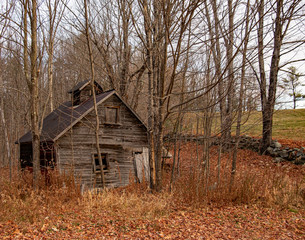 Abandoned Shack 1