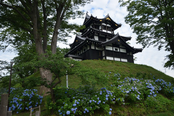 Obraz premium あじさいに包まれた城