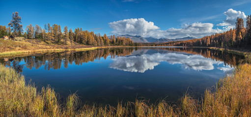 Panoramic view of the forest lake. Grass in the foreground, a picturesque reflection. Bright autumn day.