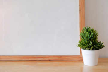 white board with small green plant in the pot.