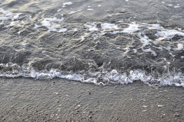 Coastal waves of the sea (the sea foam)