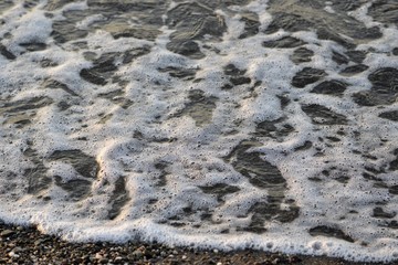Coastal waves of the sea (the sea foam)
