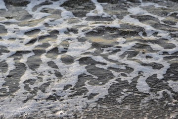 Coastal waves of the sea (the sea foam)