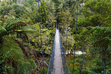 Abel Tasman National Park, New Zealand 
