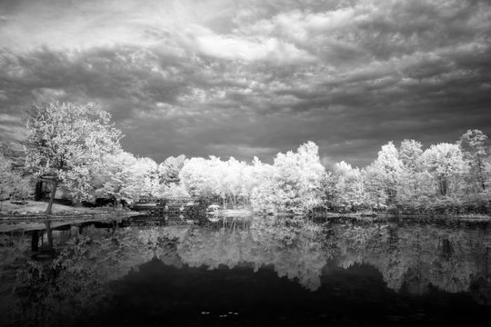 Lincoln Woods State Park, Infrared © Hali