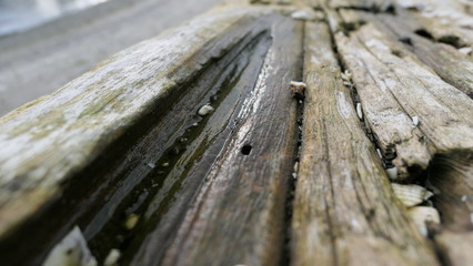 Fototapeta premium wood and background