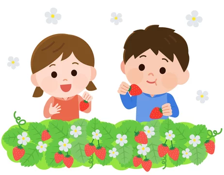 いちご狩りする兄弟 イラスト Stock ベクター Adobe Stock