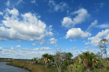 Fototapeta na wymiar Beautiful view on the marshes and rivers of North Florida