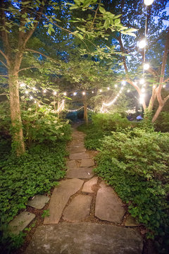 Stone Path Through The Woods With Bistro Lights