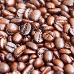 Close up coffee bean background