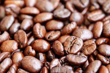 Close up coffee bean background
