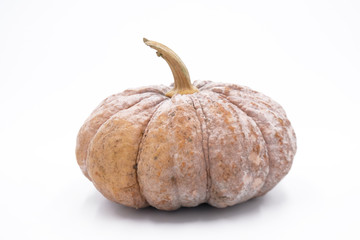 pumpkin isolated on white background.