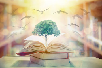 The concept of education, knowledge and birds flying into the future in the opening of old books in...