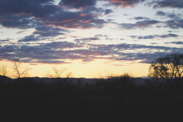 Chihuahua Sunset