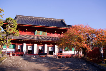 日光山輪王寺　三仏堂と金剛桜の紅葉（国天然記念物）