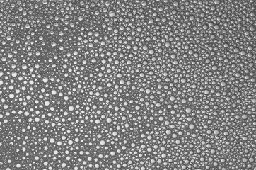 monochrome bubbles on the surface of the liquid