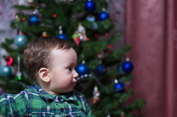 A little boy stands at the Christmas tree