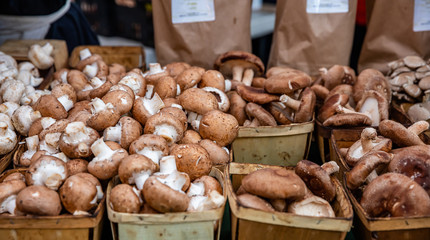 Mushrooms variety at an open air farmers market stall