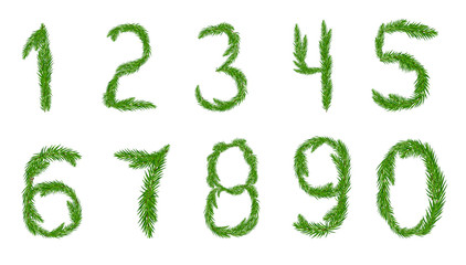 A set of numbers from zero to nine pine branches. Vector illustration for your design.