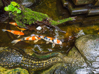 Golden Mount, Wat Saket