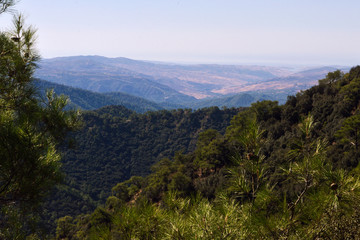 Fototapeta na wymiar Beautiful landscape in the Troodos mountains in Cyprus.