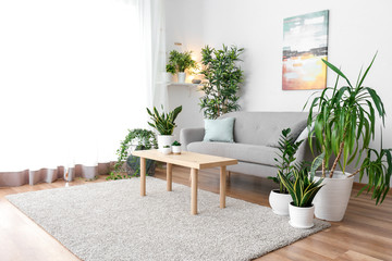Stylish interior of living room with green houseplants