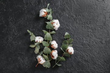 Beautiful cotton flowers with eucalyptus leaves on dark background