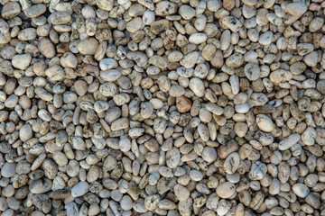 Colorful small pebbles or stone in garden with difference color.