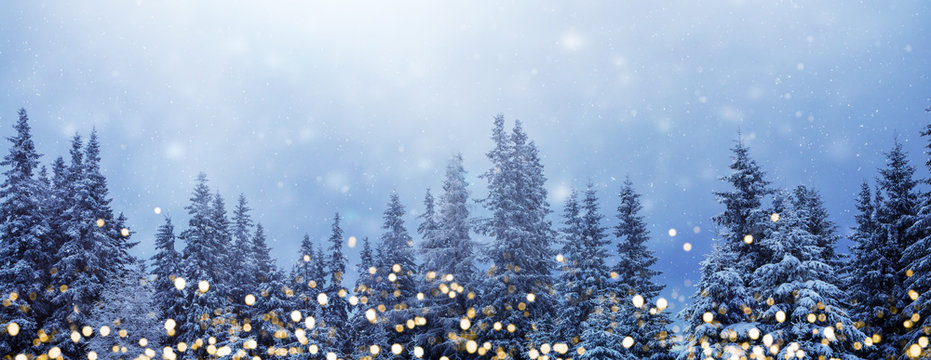 Weihnachtswald-Banner, Hintergrund für Weihnachten und Neujahr mit goldenen Lichtern vor verschneitem Tannenwald und viel Textfreiraum