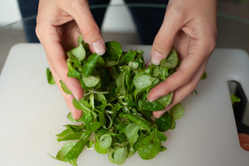 female hands wrinkled lettuce leaves. spinach. healthy eating