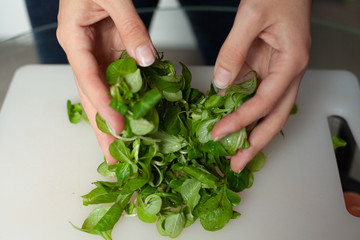 female hands wrinkled lettuce leaves. spinach. healthy eating