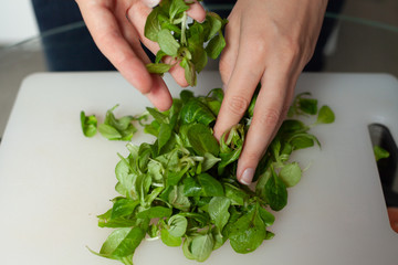 female hands wrinkled lettuce leaves. spinach. healthy eating