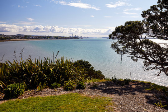 Auckland City From St Helliers