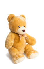 toy bear isolated