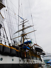 Obraz premium Das Segelschulschiff der Marine im Hafen von Warnemünde