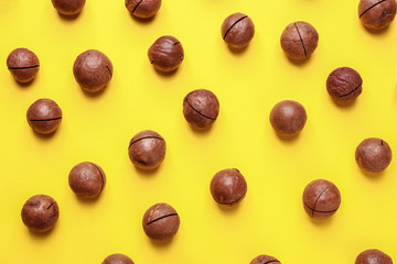 Tasty macadamia nuts on color background