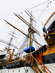 Obraz premium Das Segelschulschiff der Marine im Hafen von Warnemünde