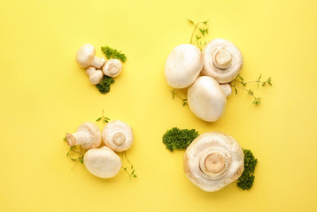 Fresh mushrooms with herbs on color background