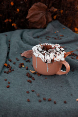 Obraz na płótnie Canvas Cup of coffee with marshmallows in autumn