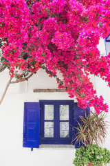 Traditional greek house with flowers in Paros island, Cyclades, Greece	