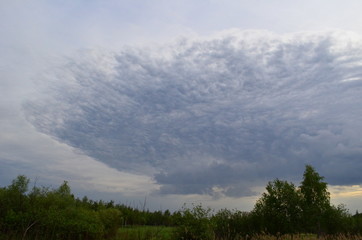 Fototapeta premium Clouds in the sky