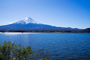 富士山と河口湖2